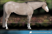 Horse Color:Liver Red Dun Varnish Brindle 