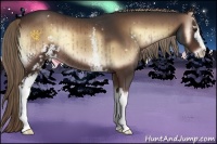 Horse Color:White Spotted Liver Red Onyx Sabino Rabicano Brindle