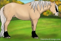Horse Color:Silver Amber Champagne Splash