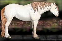 Horse Color:Buckskin Roan Pearl Dun  and Buckskin Roan Pearl Dun Frame 