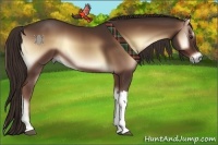 Horse Color:Red Onyx 