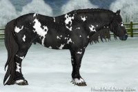 Horse Color:White Spotted Liver Chestnut Ice 