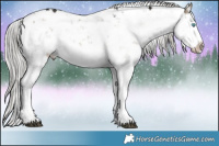 Horse Color:Liver Red Dun Mushroom Sabino Splash Rabicano Brindle
