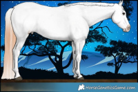 Horse Color:Bay Dun Varnish Brindle 