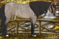 Horse Color:Brown Roan Dun 