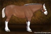 Horse Color:Silver Bay Splash 