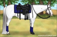 Horse Color:Brown Appaloosa