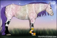 Horse Color:Watercolor Bay Ice Dun Sabino