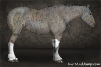 Horse Color:Black Ice Rabicano and Silver Grullo Ice Tobiano Rabicano