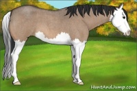 Horse Color:Bay Roan Dun Splash 