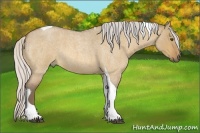 Horse Color:Silver Buckskin Roan Dun Tobiano 