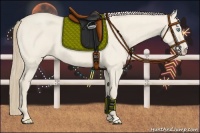 Horse Color:Smoky Creme Roan Dun 