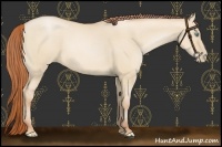 Horse Color:Buckskin Pearl Dun 