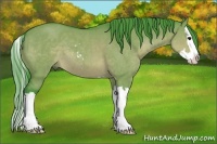 Horse Color:Watercolor Brown Dun Sabino Splash 