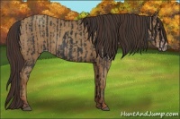 Horse Color:Black and Classic Champagne