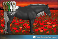Horse Color:Liver Chestnut Mushroom Blanket 