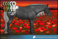 Horse Color:Liver Chestnut Mushroom Appaloosa 