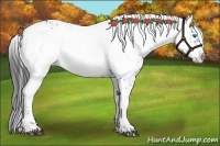 Horse Color:Black Frame 