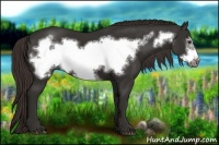 Horse Color:Liver Chestnut Frame 