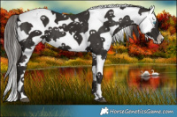 Horse Color:Liver Chestnut Frame 