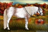 Horse Color:White Spotted Chestnut Sabino