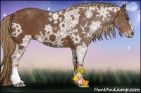 Horse Color:Chestnut Ice 