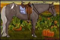Horse Color:Silver Black Blanket 