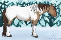 Horse Color:Bay Roan Dun Tobiano Near Fewspot