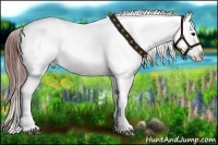 Horse Color:Bay Roan Dun Blanket 
