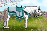 Horse Color:Bay Near Leopard