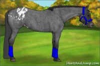 Horse Color:Blue Roan Varnish 