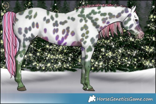 Horse Color:Painted Watercolor Silver Brown Appaloosa 