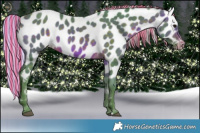 Horse Color:Painted Watercolor Silver Brown Appaloosa