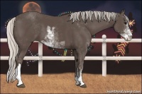 Horse Color:Silver Black Sabino 