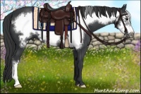 Horse Color:Black Frame 