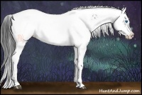 Horse Color:Black Frame