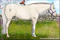 Horse Color:Silver Sable Cream Champagne Pearl 