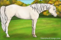 Horse Color:Silver Amber Cream Champagne Pearl 
