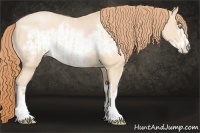 Horse Color:Buckskin Roan Pearl and Buckskin Roan Pearl Frame