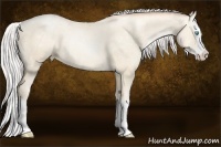 Horse Color:Silver Sable Cream Champagne Pearl Splash 