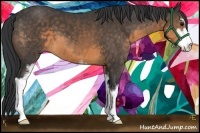 Horse Color:Buckskin Sabino 