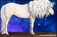 Horse Color:Silver Amber Cream Champagne Pearl 
