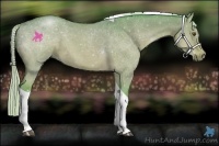 Horse Color:Watercolor Silver Bay Dun Tobiano 