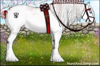 Horse Color:Watercolor Liver Red Onyx Sabino Splash Appaloosa 