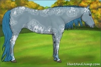 Horse Color:Watercolor Bay Ice 