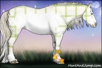 Horse Color:Plaid  Perlino Dun Sabino Frame 