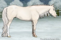 Horse Color:Silver Amber Cream Champagne Pearl 