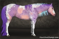 Horse Color:Watercolor Brown Dun Tobiano  and Watercolor Red Dun Tobiano 