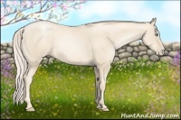 Horse Color:Gold Cream Champagne Pearl 