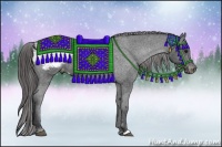 Horse Color:Black Appaloosa